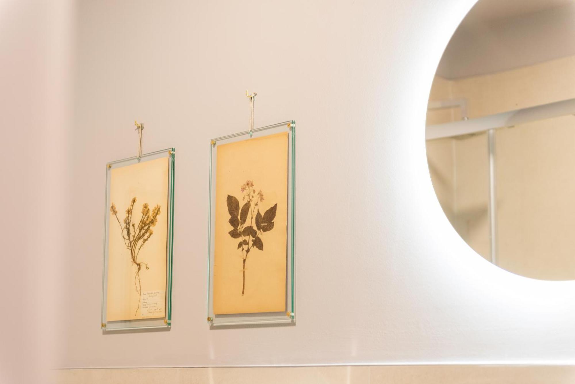 Regina Boutique Suites ตรีเอสเต ภายนอก รูปภาพ